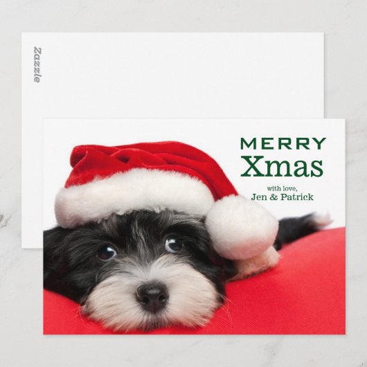 De Hond van het Puppy van Havanese van Kerstmis Feestdagenkaart (Voorkant / Achterkant)