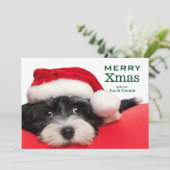 De Hond van het Puppy van Havanese van Kerstmis Feestdagenkaart (Staand voorkant)