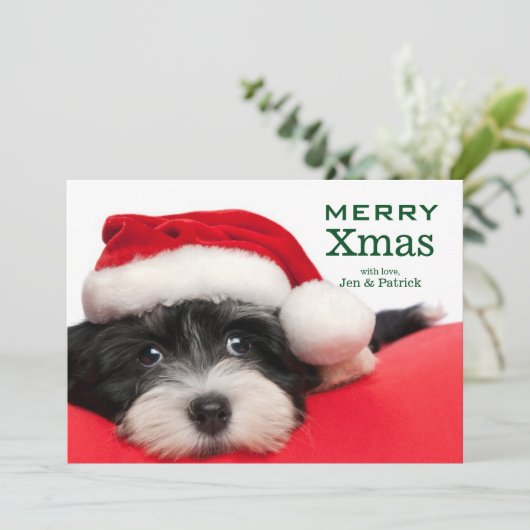 De Hond van het Puppy van Havanese van Kerstmis Feestdagenkaart (Staand voorkant)