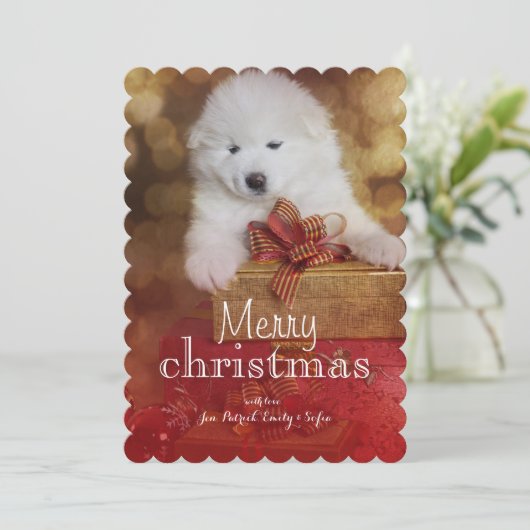 De Hond van het Puppy van Samoyed met de Giften Feestdagenkaart (Staand voorkant)