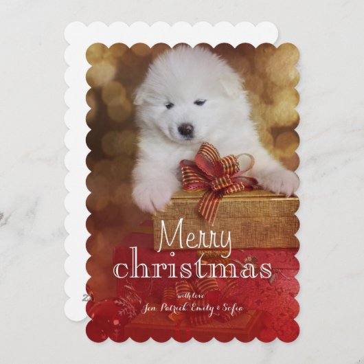 De Hond van het Puppy van Samoyed met de Giften Feestdagenkaart (Voorkant / Achterkant)