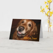 De Hond van het trick or treat Kaart (Gele Bloem)