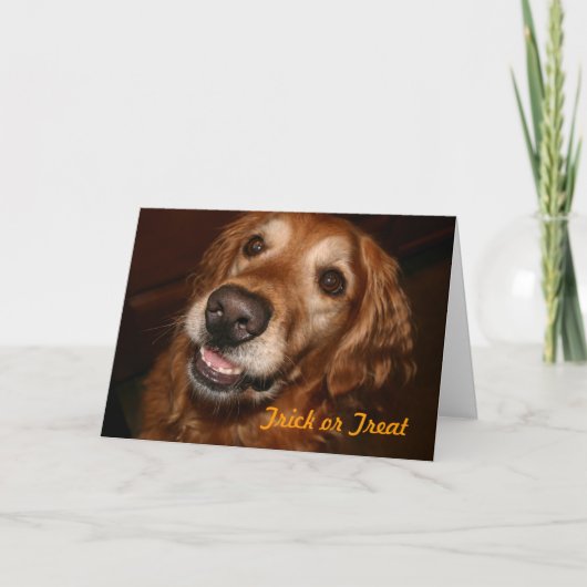 De Hond van het trick or treat Kaart (Voorkant)