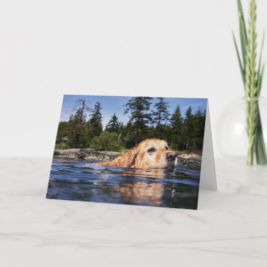 De Hond van het water - Kaarten (Voorkant)