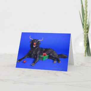 De hond van Kerstmis Feestdagen Kaart