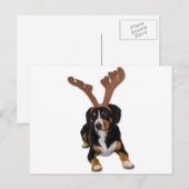 De Hond van Kerstmis van Entlebucher Feestdagenkaart (Voorkant / Achterkant)