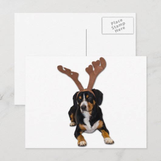 De Hond van Kerstmis van Entlebucher Feestdagenkaart (Voorkant / Achterkant)