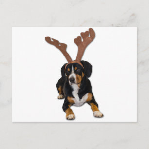 De Hond van Kerstmis van Entlebucher Feestdagenkaart