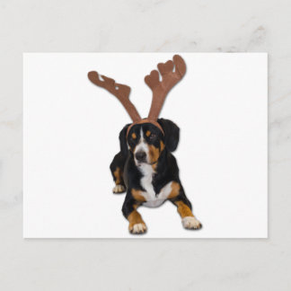De Hond van Kerstmis van Entlebucher Feestdagenkaart