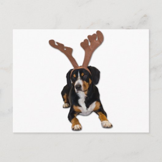 De Hond van Kerstmis van Entlebucher Feestdagenkaart (Voorkant)