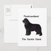 De Hond van Newfoundland de Zachte Reus Briefkaart (Voorkant / Achterkant)