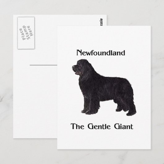 De Hond van Newfoundland de Zachte Reus Briefkaart (Voorkant / Achterkant)