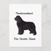 De Hond van Newfoundland de Zachte Reus Briefkaart (Voorkant)