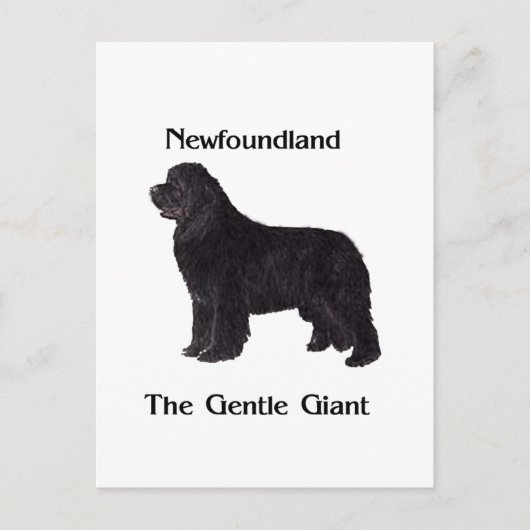 De Hond van Newfoundland de Zachte Reus Briefkaart (Voorkant)