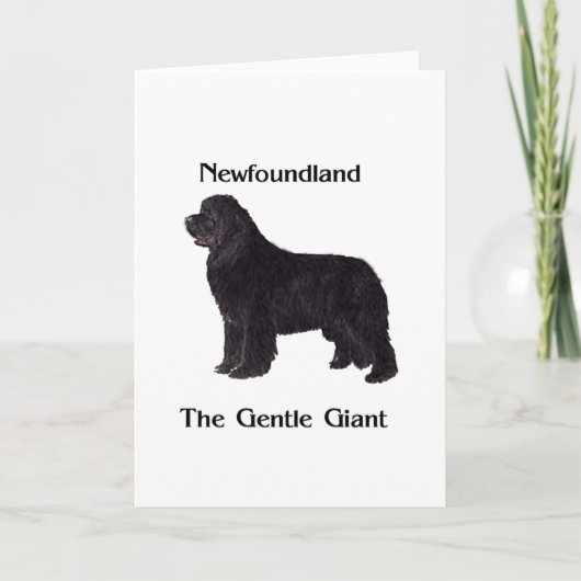 De Hond van Newfoundland de Zachte Reus Kaart (Voorkant)