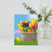 De hond van Pasen Chihuahua Feestdagenkaart (Staand voorkant)