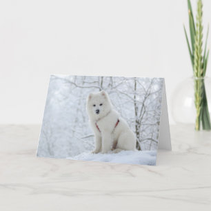 De hond van Samoyed Kaart