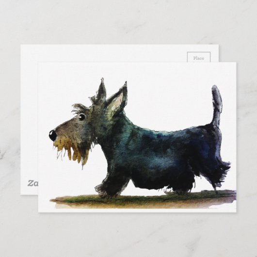 De Hond van Scottie Briefkaart (Voorkant / Achterkant)