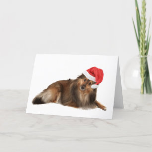 De hond van Sheltie van Kerstmis Feestdagen Kaart