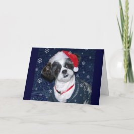De Hond van Shih Tzu van Kerstmis Feestdagen Kaart