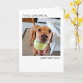 De Hond van Vizsla met Bal in de Kaart van de (Gele Bloem)