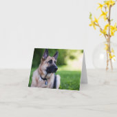 De Hond "Verbinding " van de redding Kaart (Gele Bloem)