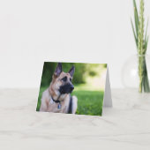 De Hond "Verbinding " van de redding Kaart (Voorkant)