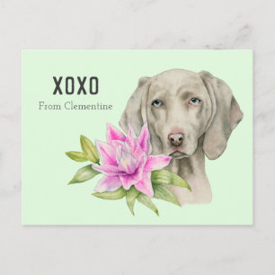 De Hond XOXO   Valentijn van Weimaraner Feestdagenkaart
