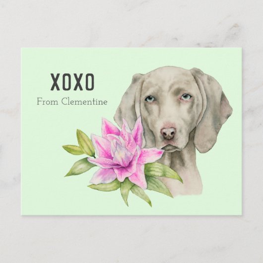 De Hond XOXO | Valentijn van Weimaraner Feestdagenkaart (Voorkant)