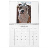 De Honden van de Academie voor het leren van unive Kalender (Feb 2026)