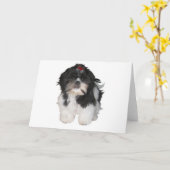 De Honden van het Puppy van Shih Tzu van Shitzu Kaart (Gele Bloem)