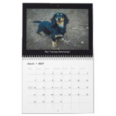 De honden van Rainey Street Calendar Kalender (Mar 2027)