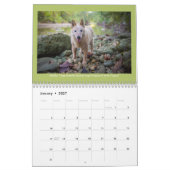 De honden van Rainey Street Calendar Kalender (Jan 2027)