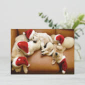 De hondendagen met Kerstmis Feestdagenkaart (Staand voorkant)
