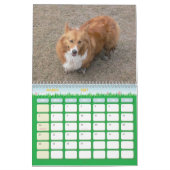 De HondHout Kalender 2007 (Mar 2027)