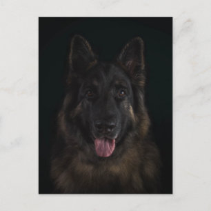 De hondportret van de Duitse herder Briefkaart