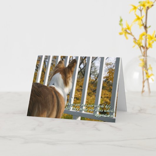 De honds Kaart van de Sympathie (Gele Bloem)