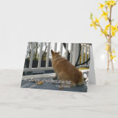 De honds Kaart van de Sympathie (Gele Bloem)