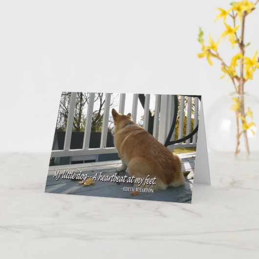 De honds Kaart van de Sympathie (Gele Bloem)