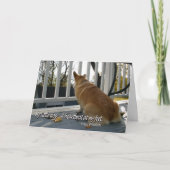 De honds Kaart van de Sympathie (Voorkant)