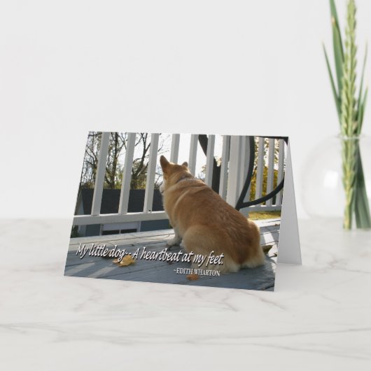 De honds Kaart van de Sympathie (Voorkant)