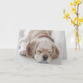 De hondslaap van de cocker-spaniël kaart (Gele Bloem)