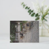 De hondteam van de slee in Denali, Alaska Briefkaart (Staand voorkant)