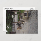 De hondteam van de slee in Denali, Alaska Briefkaart (Voorkant / Achterkant)