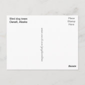 De hondteam van de slee in Denali, Alaska Briefkaart (Achterkant)