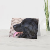 De hondverjaardag van Newfoundland Kaart (Voorkant)