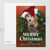 De hondzitting van Inu van Shiba in de kroon van Feestdagenkaart (Voorkant / Achterkant)