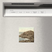 De Honeycombs, Giant's Causeway, County Antrim Magneet (Insitu (Vaatwasser))