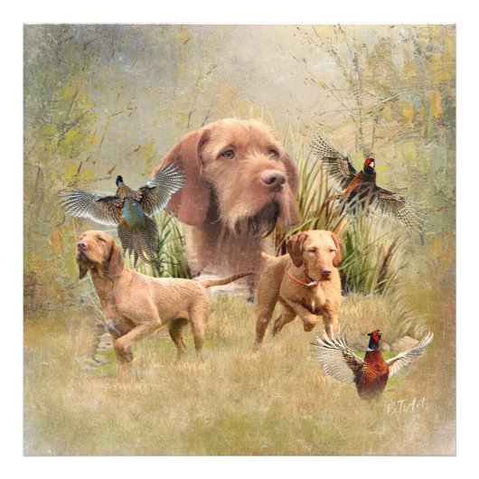 De Hongaarse Wirehaired Vizsla Foto Afdruk (Voorkant)