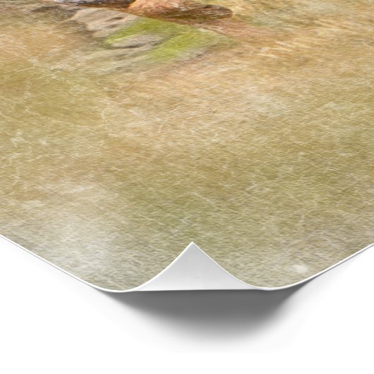 De Hongaarse Wirehaired Vizsla Perfect Poster (Hoek)